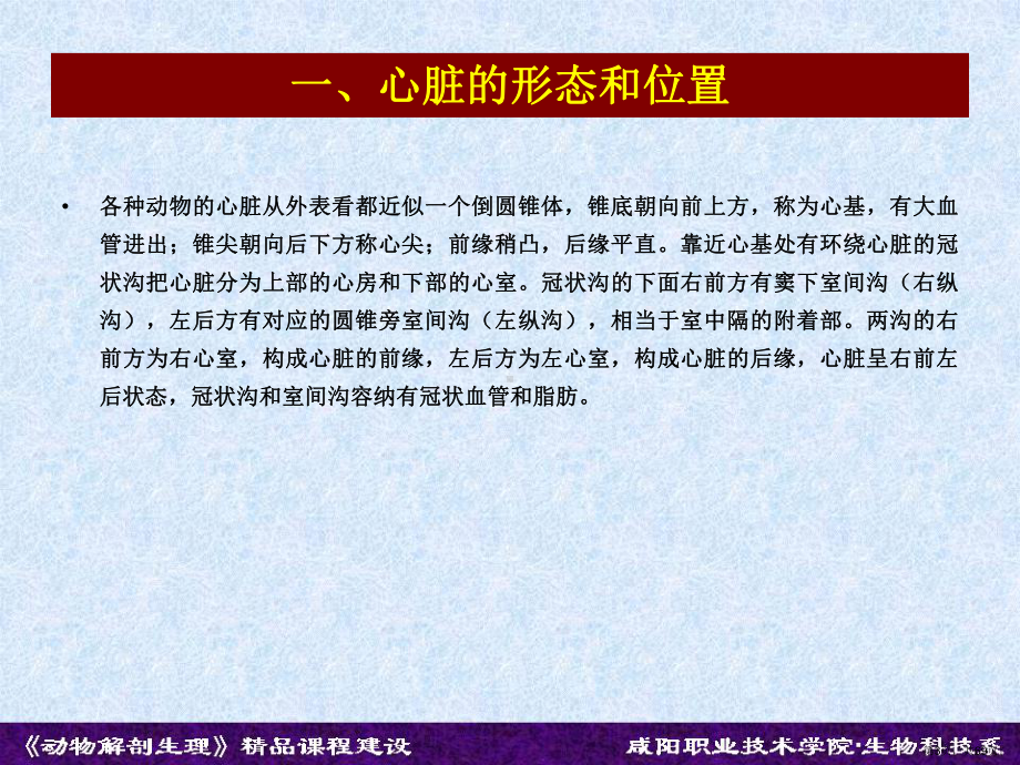 能力单元八心血管系统课件.ppt_第3页