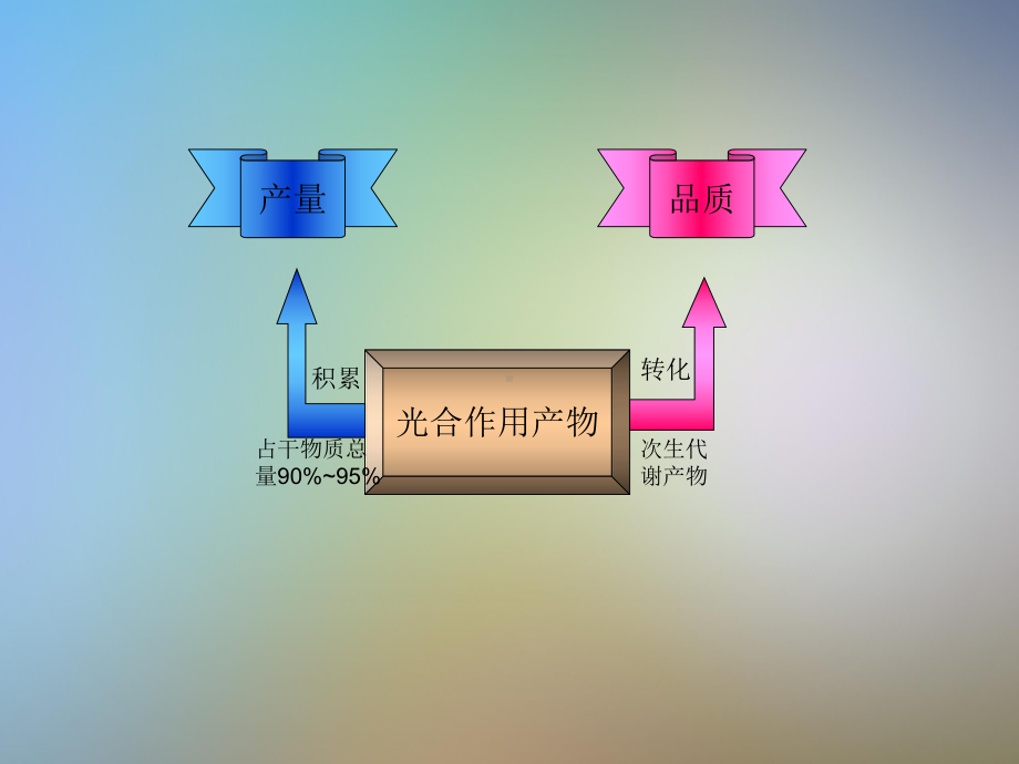 中药植物产量与品质的形成课件.pptx_第3页