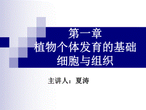 植物个体发育的基础细胞与组织课件.ppt