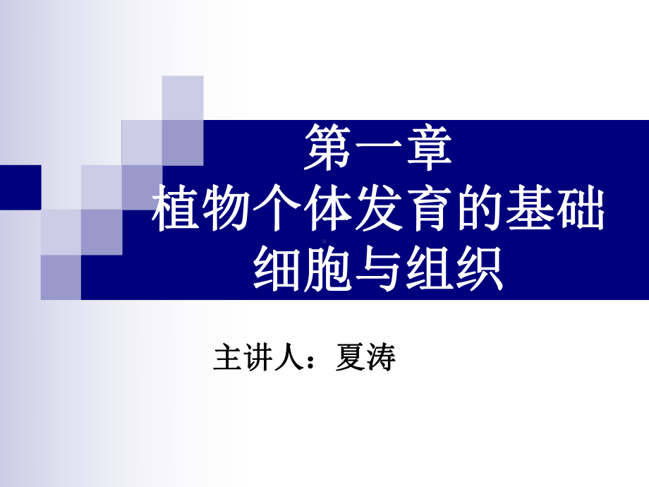 植物个体发育的基础细胞与组织课件.ppt_第1页