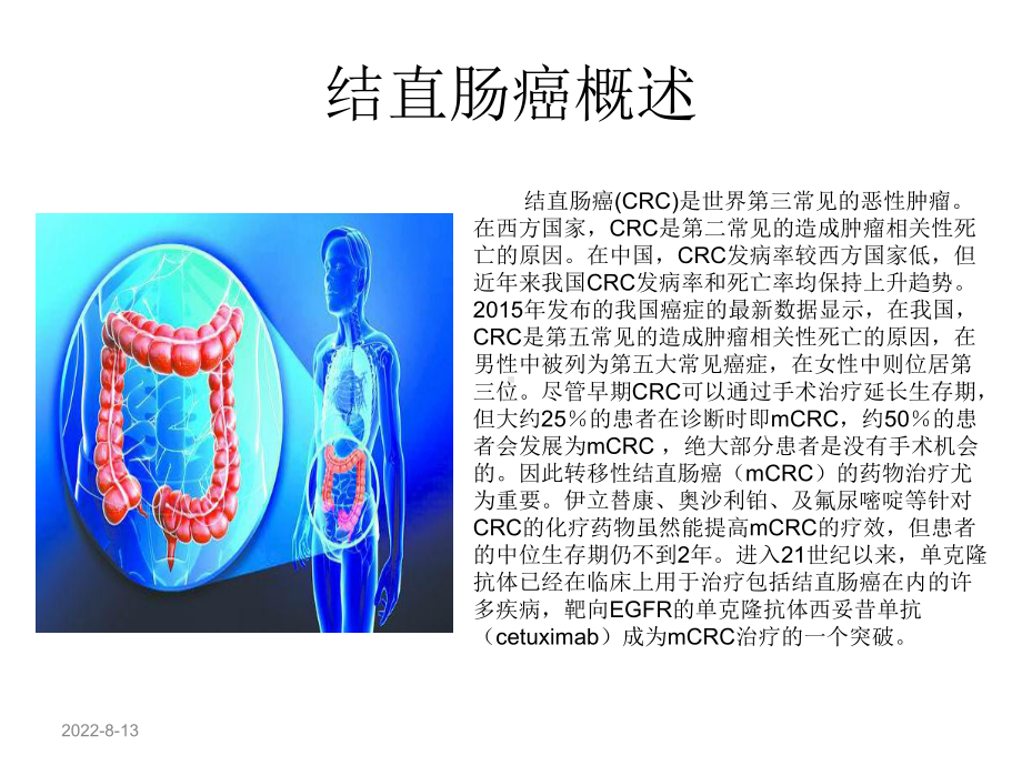 西妥昔单抗疗效与mCRC原发位置的相关性课件.pptx_第3页