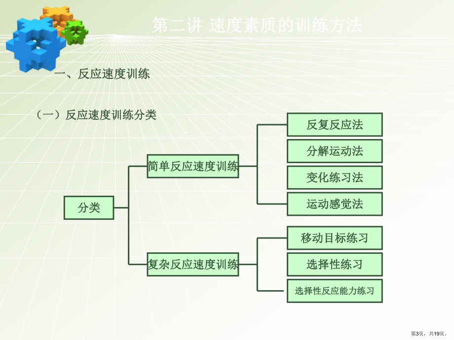 速度素质的训练方法课件.ppt_第3页