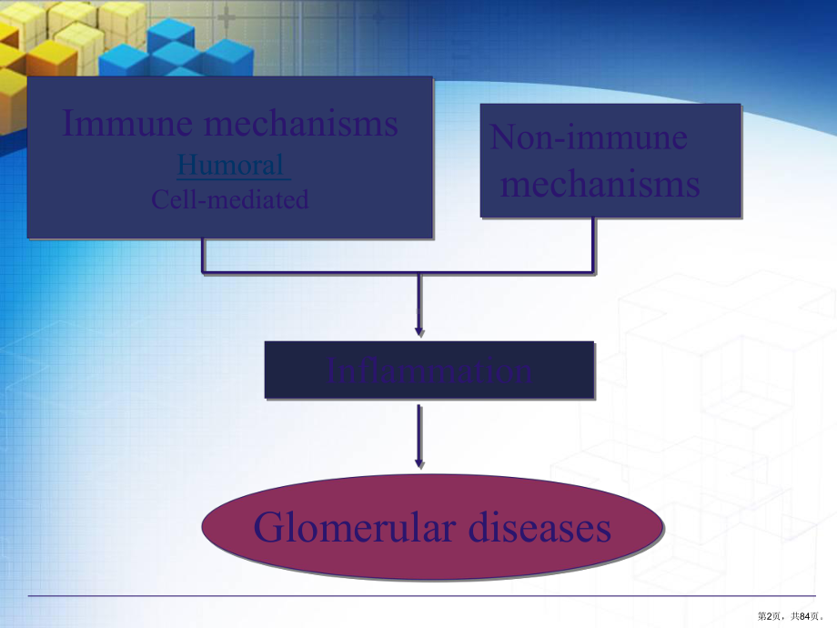 肾小球疾病(英语)课件.ppt_第2页