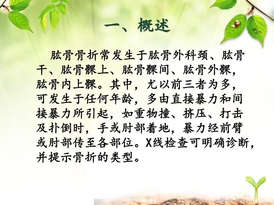 肱骨骨折病人的护理课件.ppt_第2页