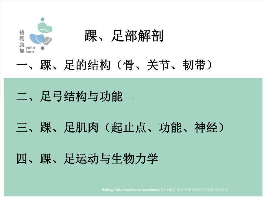 踝足部解剖与功能-ppt课件.ppt_第2页