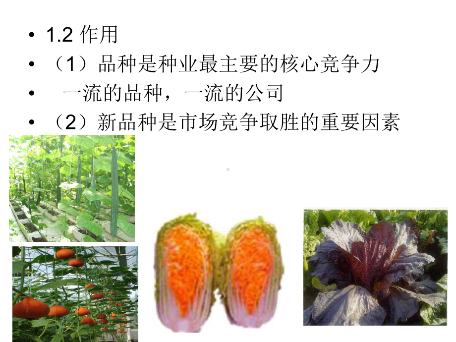 种子企业品种研发管理课件.ppt_第3页