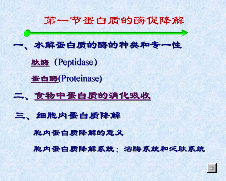 蛋白质的酶促降解及氨基酸代谢OK课件.ppt_第2页