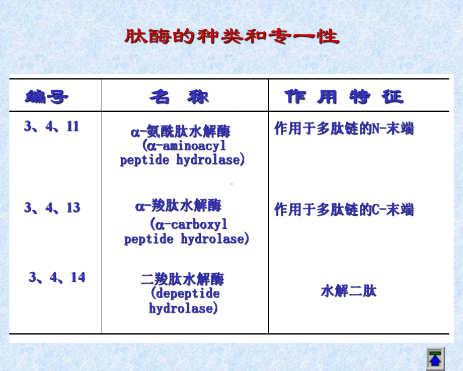 蛋白质的酶促降解及氨基酸代谢OK课件.ppt_第3页