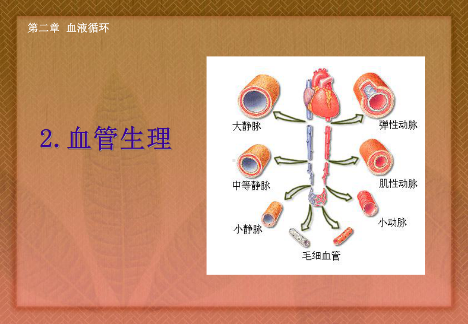 血管生理2调节课件.ppt_第1页