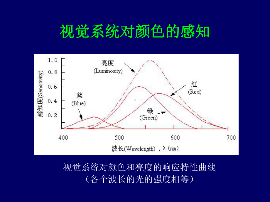 视觉与图像课件.ppt_第3页