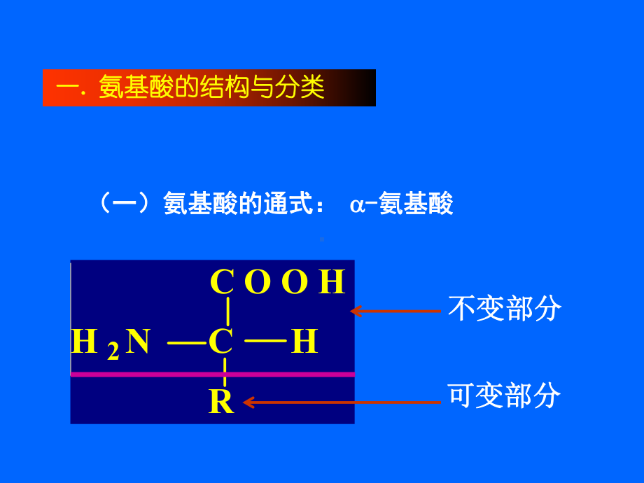 氨基酸和蛋白质药物的分析课件.ppt_第2页