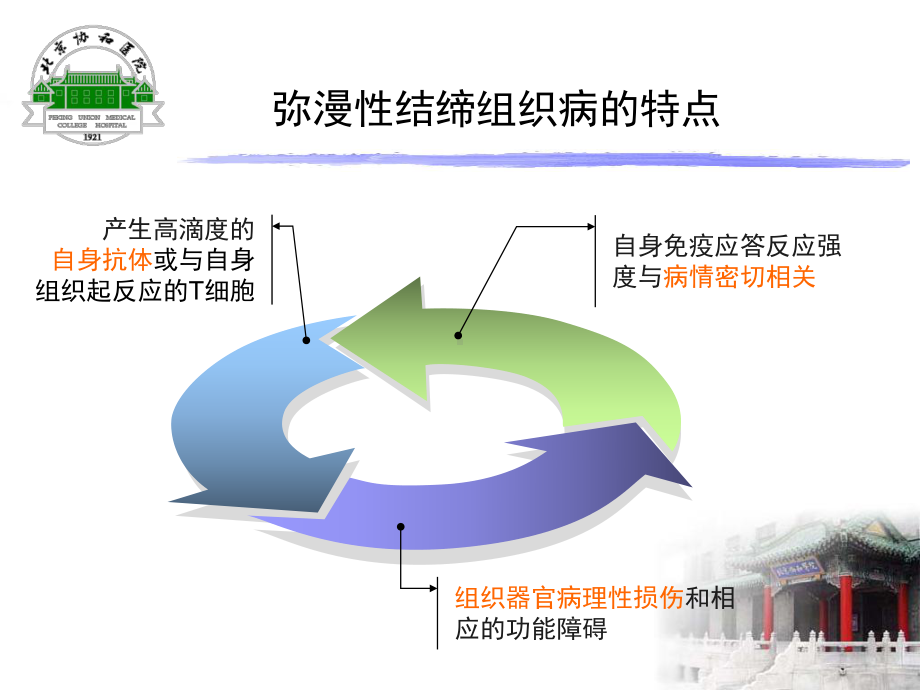 结缔组织病相关自身抗体的解读-课件.ppt_第2页