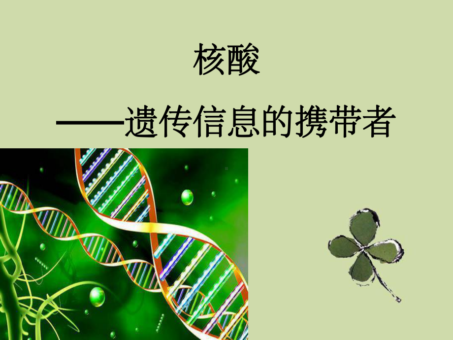 组成细胞分子-核酸课件.ppt_第1页