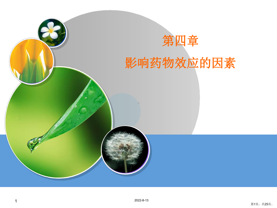 药理学第四章影响药物效应的因素课件.ppt_第1页