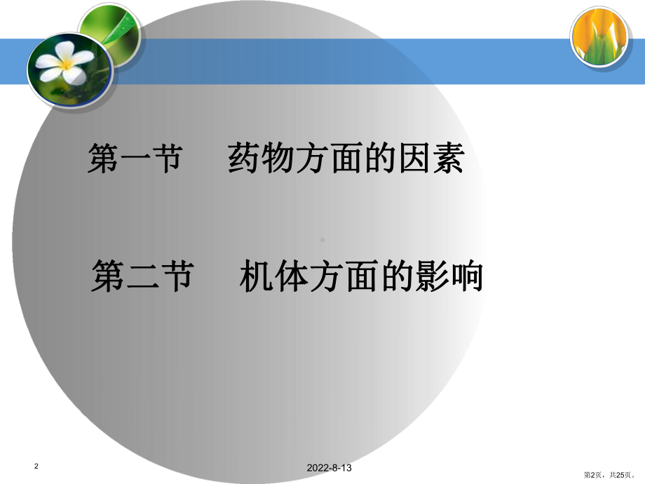 药理学第四章影响药物效应的因素课件.ppt_第2页