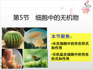 细胞中的无机物课件1.ppt