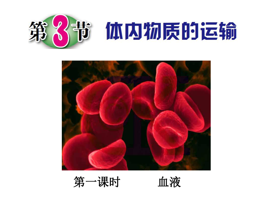 人体和其他生物的新陈代谢谢课件.ppt_第1页