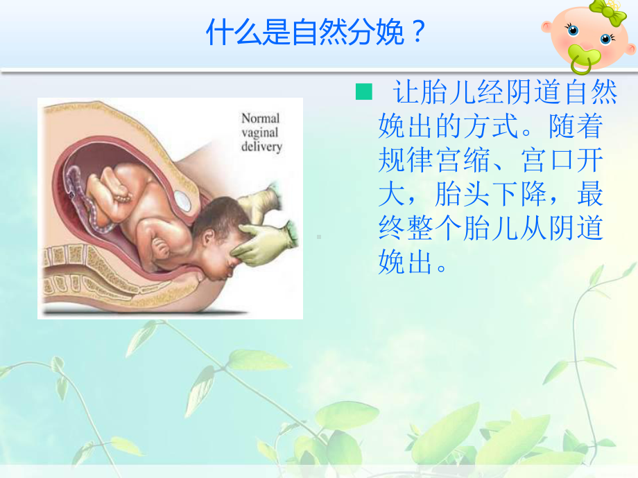 自然分娩VS剖宫产课件.ppt_第3页