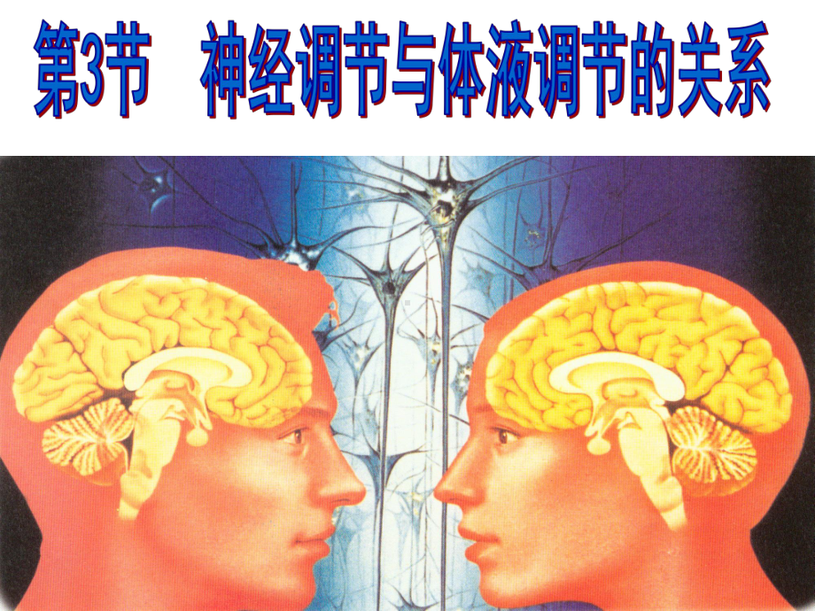 神经调节与体液调节的关系上课用课件.ppt_第1页