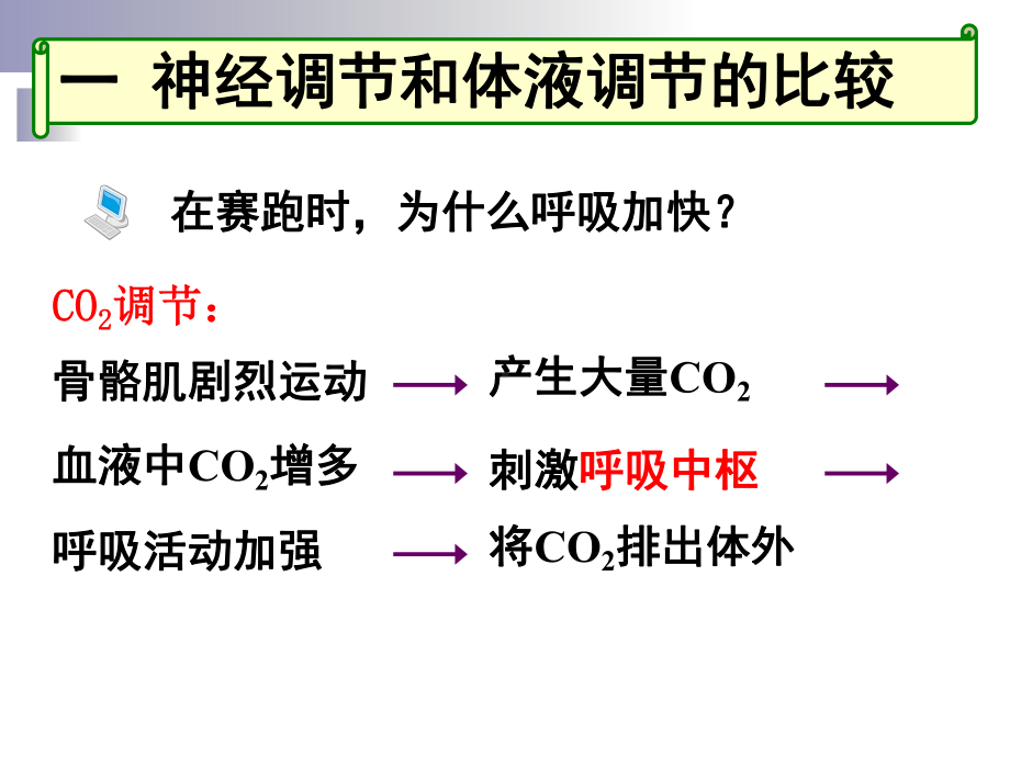 神经调节与体液调节的关系上课用课件.ppt_第3页