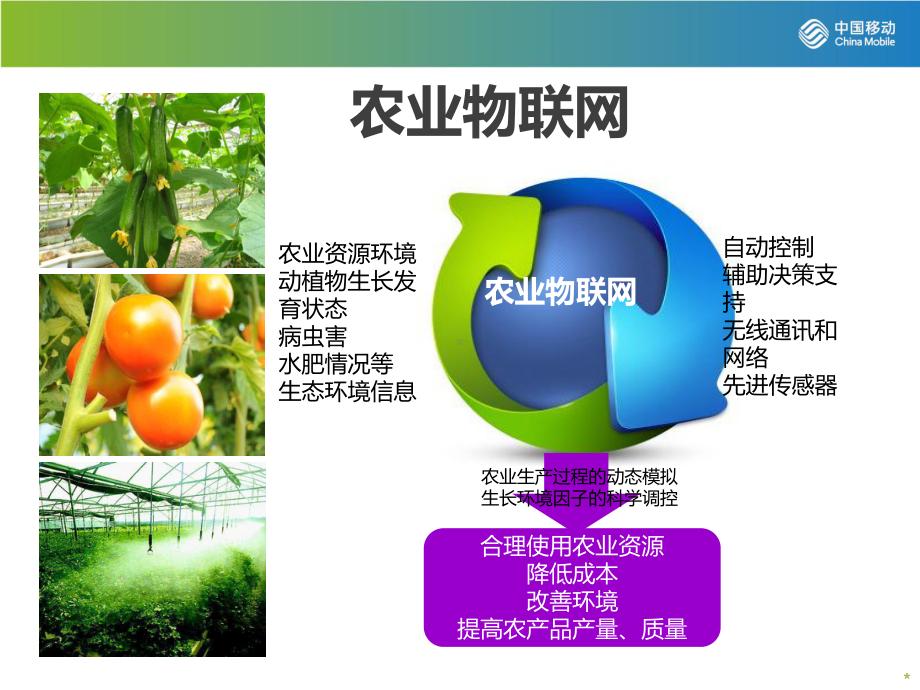 设施农业物联网解决方案.ppt_第3页