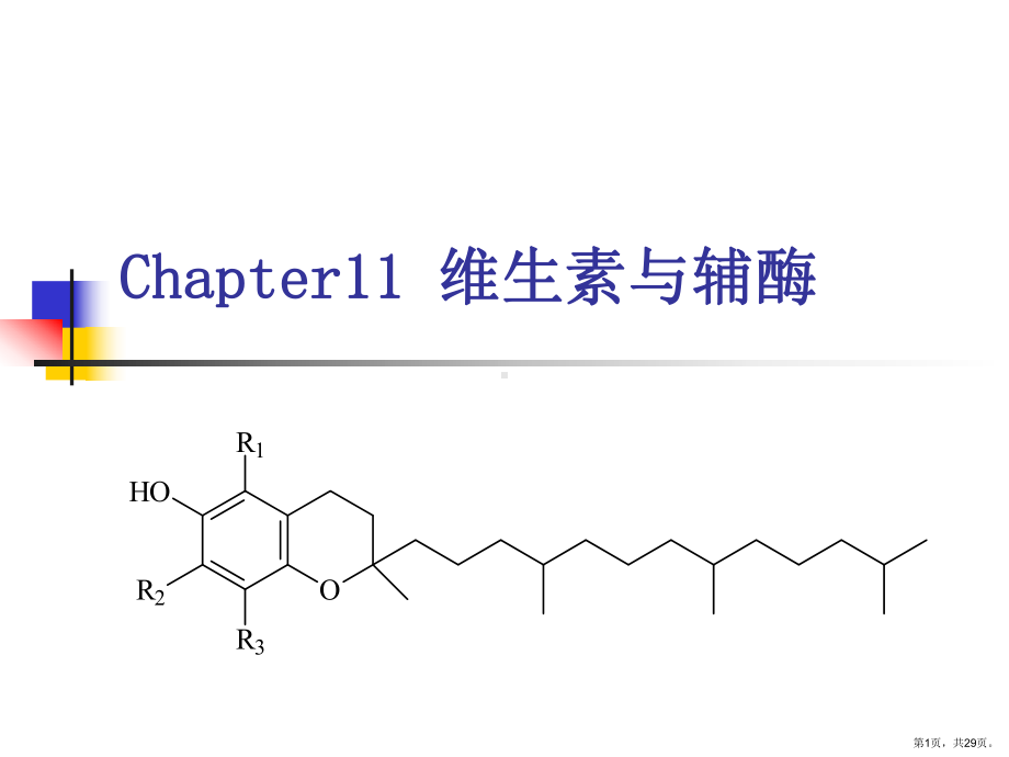 维生素与辅酶课件1.ppt_第1页