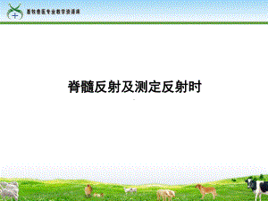 脊髓反射及测定反射时课件.ppt