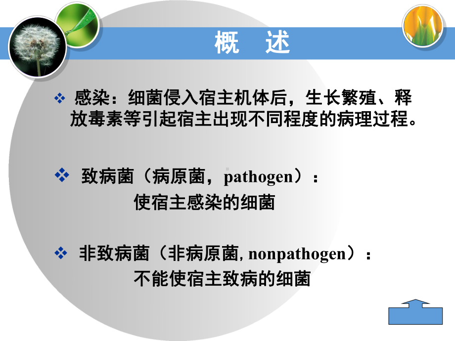 细菌的感染与免疫(同名287)课件.ppt_第3页