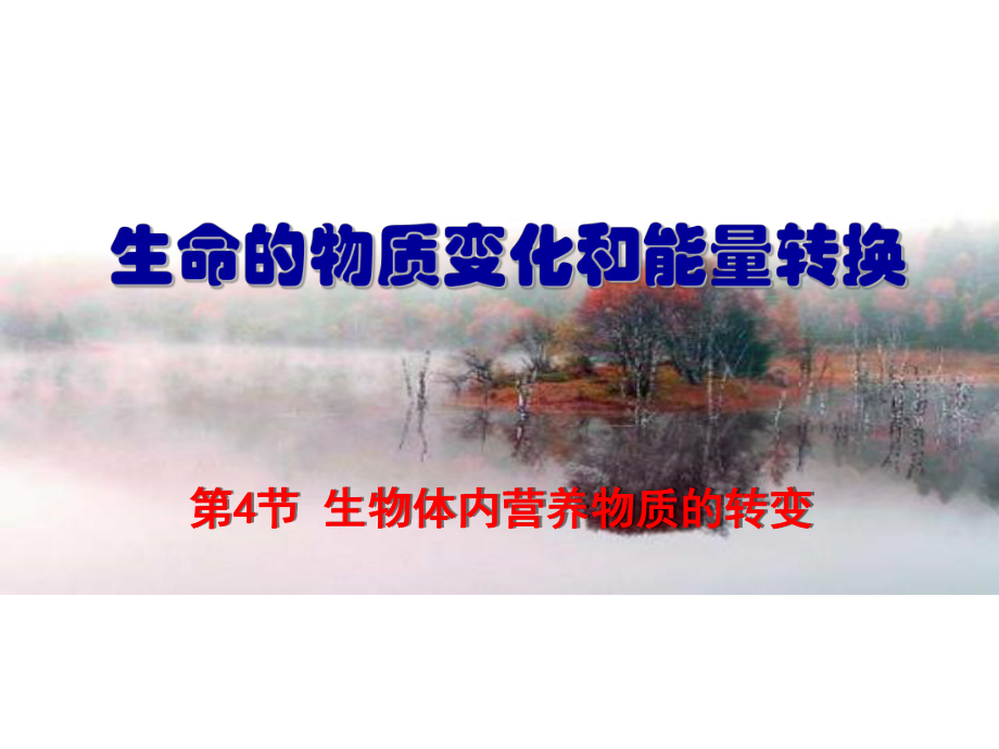 营养物质的转变课件.ppt_第1页