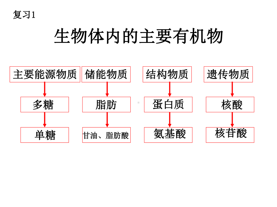 营养物质的转变课件.ppt_第2页