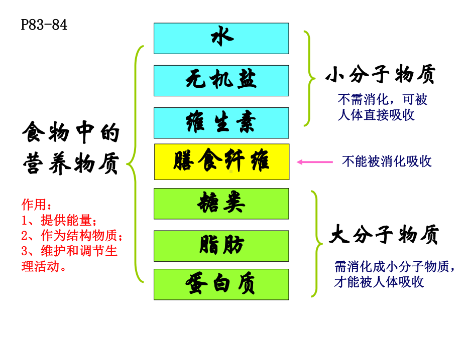 营养物质的转变课件.ppt_第3页