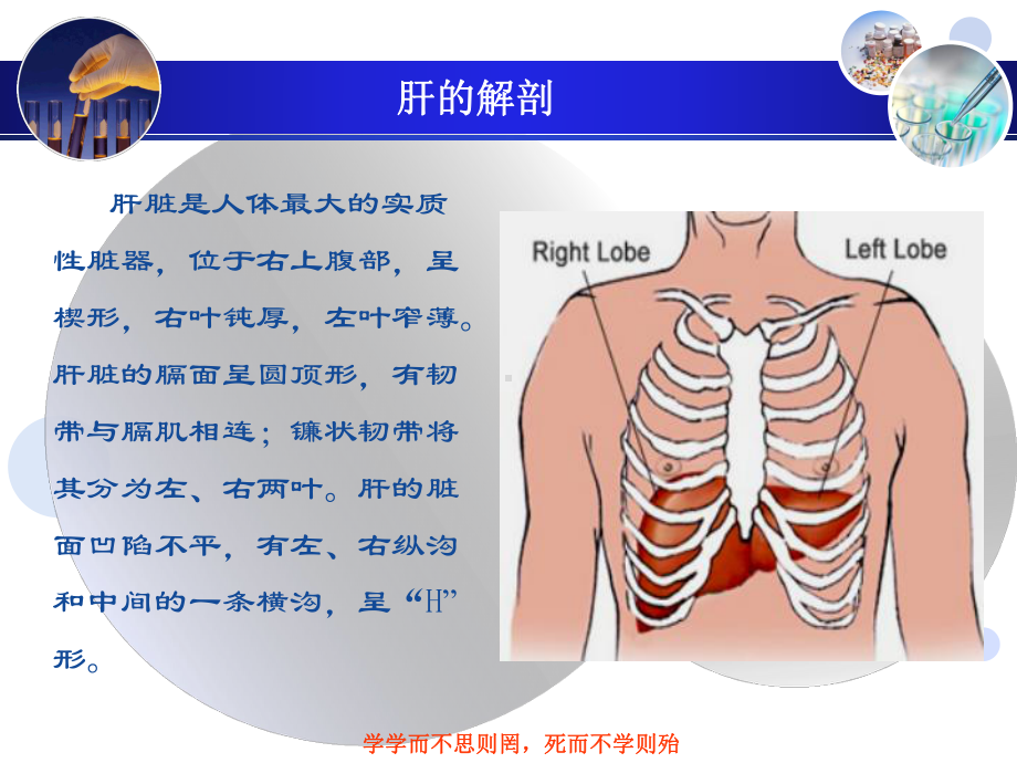 肝脏疾病超声诊断(同名176)课件.ppt_第3页