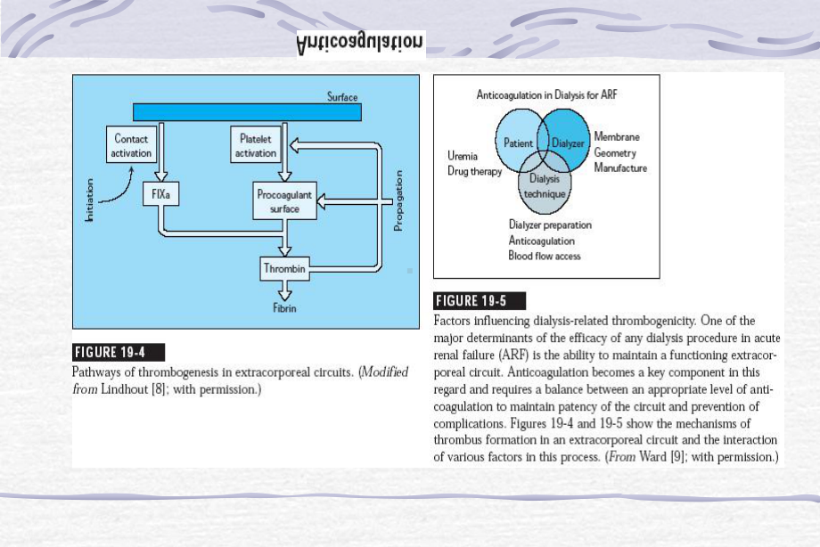 血液透析中的抗凝治疗课件.ppt_第3页