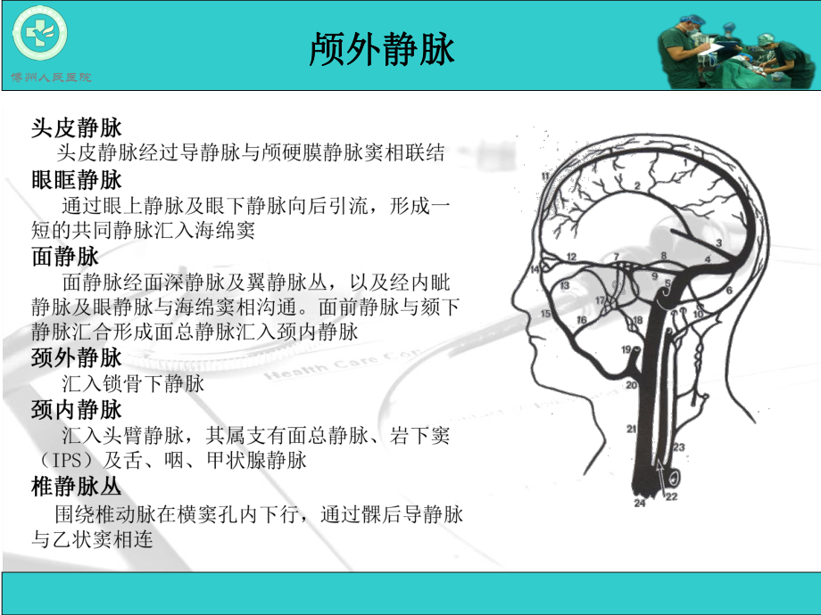 脑血管疾病CTA诊断课件.ppt_第3页