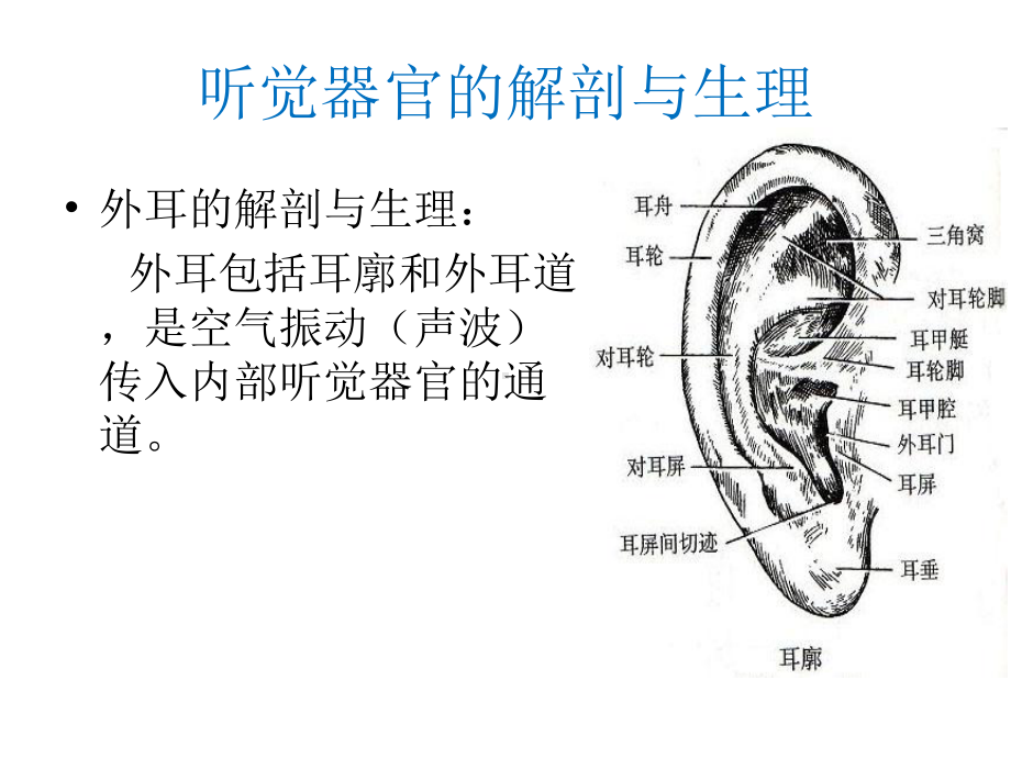 听觉障碍精选课件.ppt_第2页