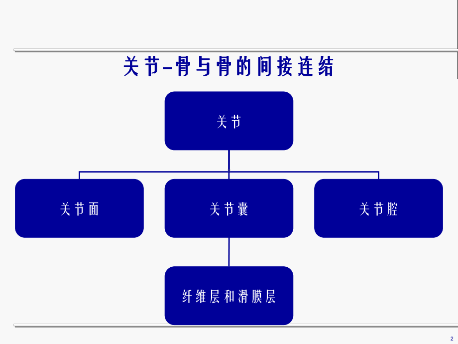 膝关节解剖及针刀操作课件.ppt_第2页