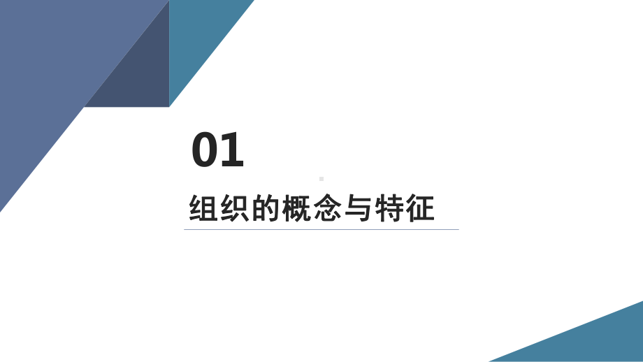 管理学基础：组织课件.pptx_第3页