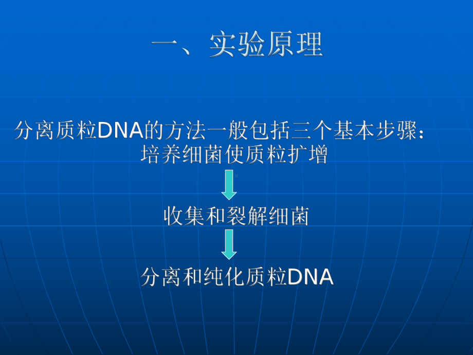 质粒DNA的提取及检测实验二课件.ppt_第3页