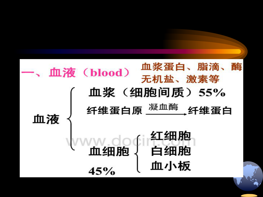 血细胞生长课件.ppt_第3页