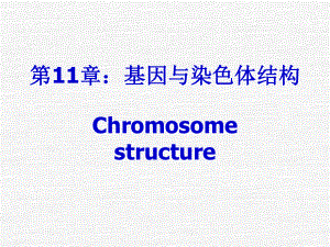 基因与染色体结构课件.ppt