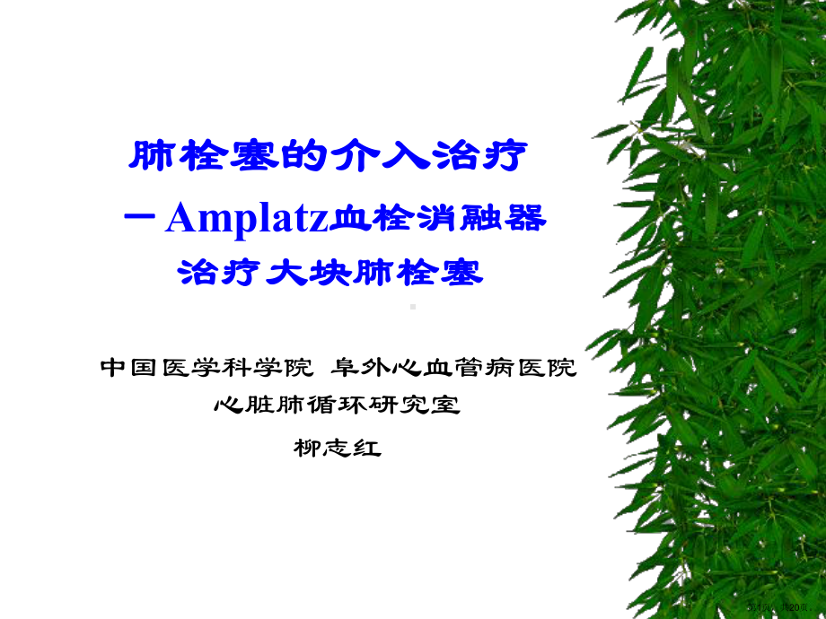 肺栓塞的介入治疗柳志红.课件.ppt_第1页