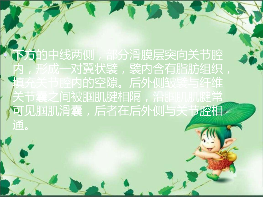 膝关节滑囊的影像解剖课件.ppt_第3页