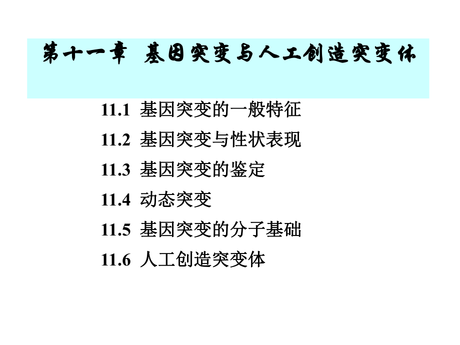 基因突变与人工创造突变体课件.ppt_第3页