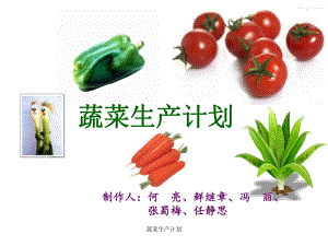 蔬菜生产计划课件.ppt