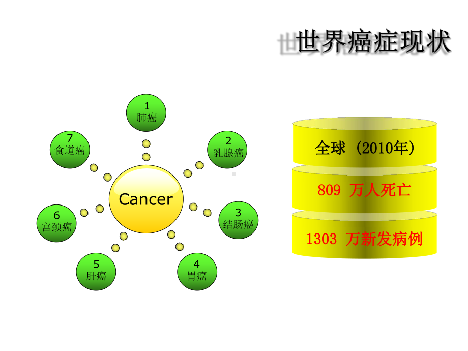 肿瘤表观遗传学课件.ppt_第3页