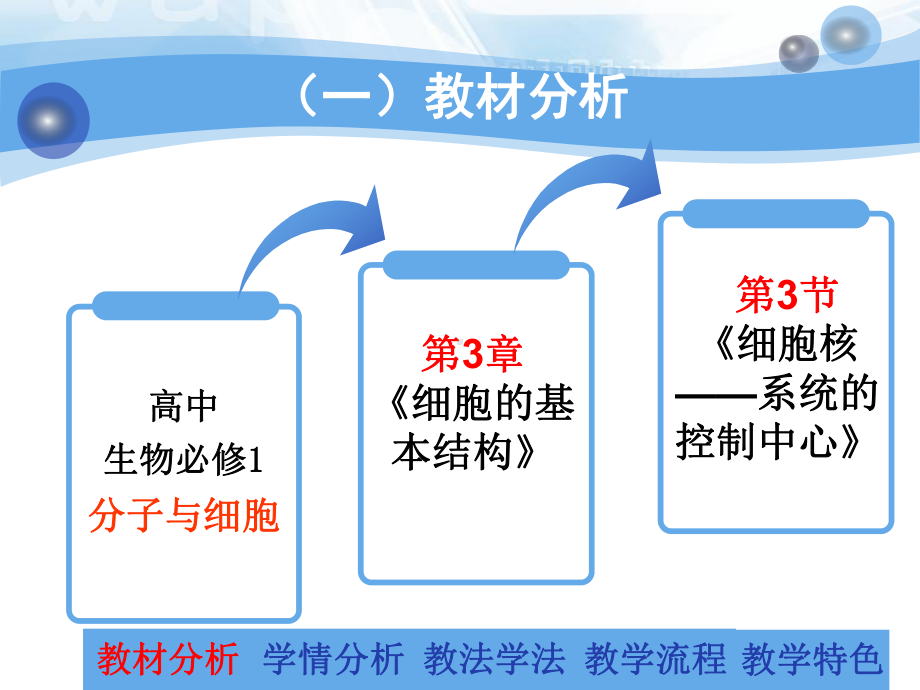 细胞核-系统的控制中心说课课件.ppt_第3页