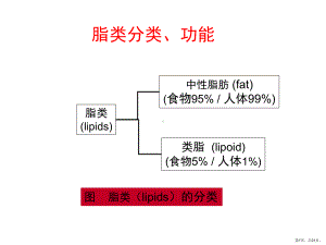 脂类分类、功能课件.ppt