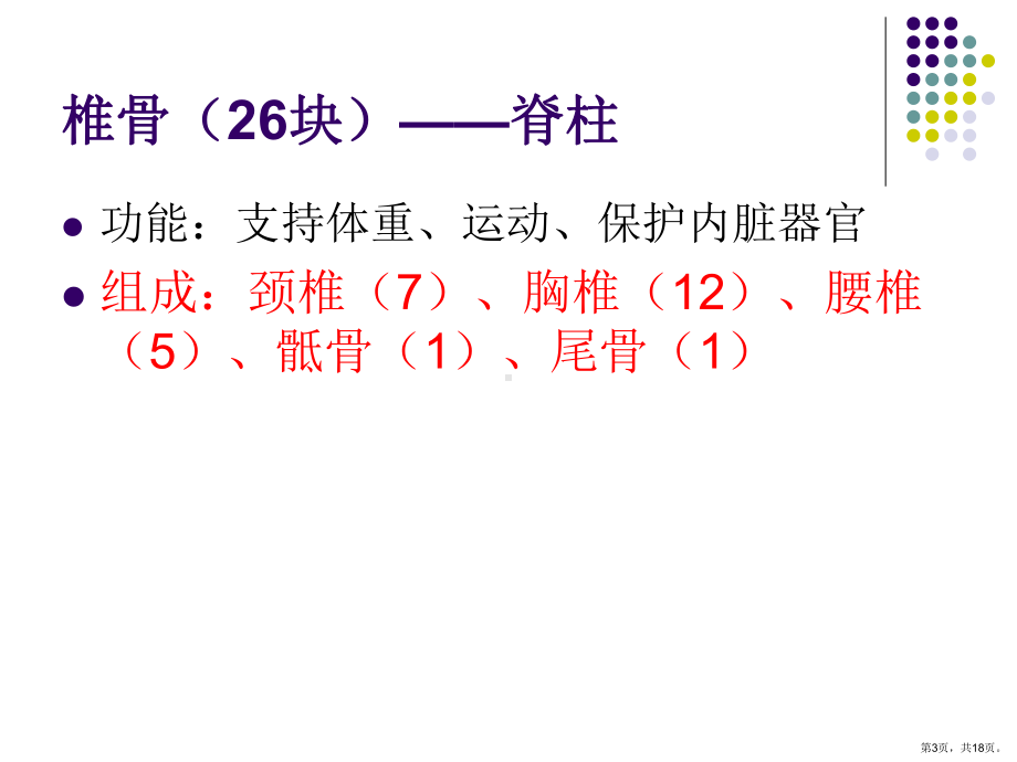 解剖学脊柱组成及形态解读课件.ppt_第3页