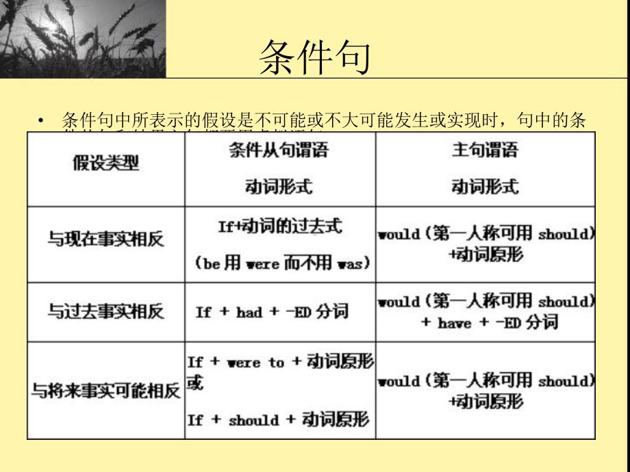 英语专业四级词汇语法辅导-虚拟语气课件.ppt_第2页