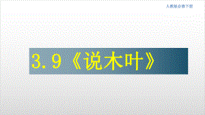 统编版语文《说“木叶”》教学课件（新教材）1.ppt